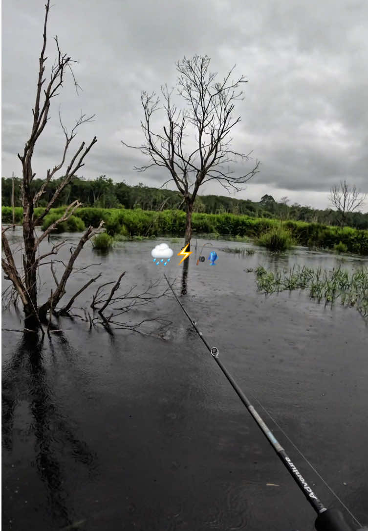 🌧️⚡️🎣 #romanmancing 