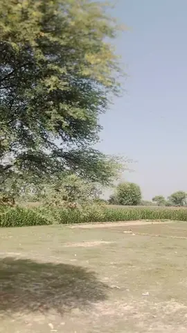 attaullah esakhelvi songs new trending songs #aullah👆 #aullahakbar #aullahs #aullah 