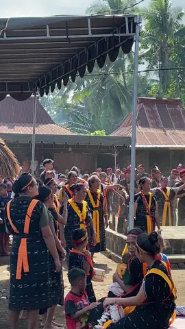 🔥🔥🔥#fyppppppppppppppppppppppp #bajawa_flores_ntt #zcyba #capcut #nttpride🏝🔥 