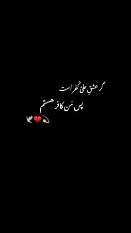 ♥️بغیر عِشقِ علیؑ زِنْدَگیِ فَنا ھَستَم #foryoupage #viralvideo #unfreezemyaccaunt #dontunderreviewmyvideo #fypppppppppppppp 