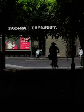 你说过不会离开，可最后你还是走了。 #文案 #感情 #痘印 #fypシ゚ #caption 