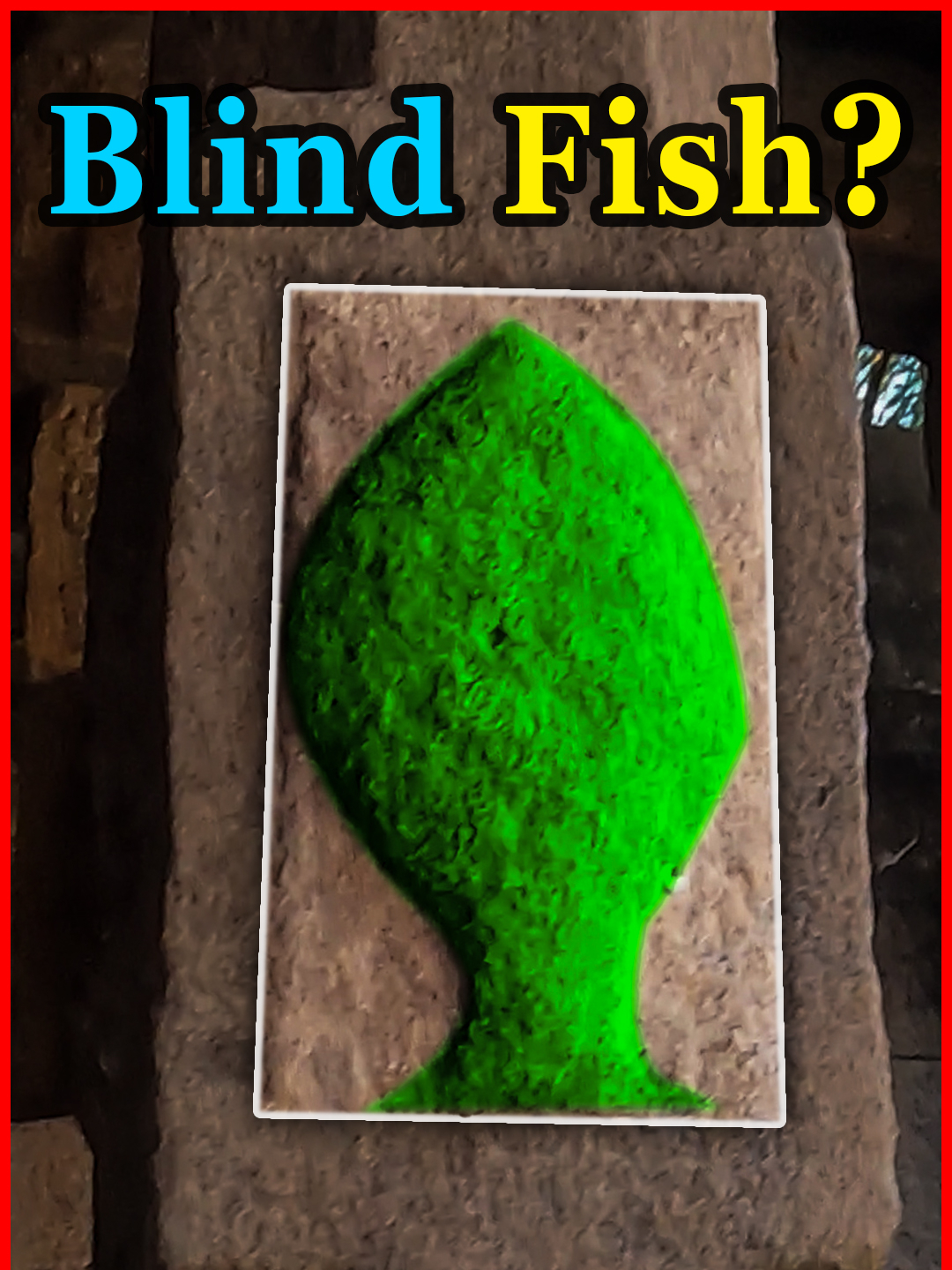 BLIND FISH!!!What is the story behind? #praveenmohan #ancient #temples #adventure #explore #ancienthistory #vishnu #avatars #fish #marine #biology #study #ancientbuilders #advanced #technology #tiktok #viral #reels #trending #tiktokindia