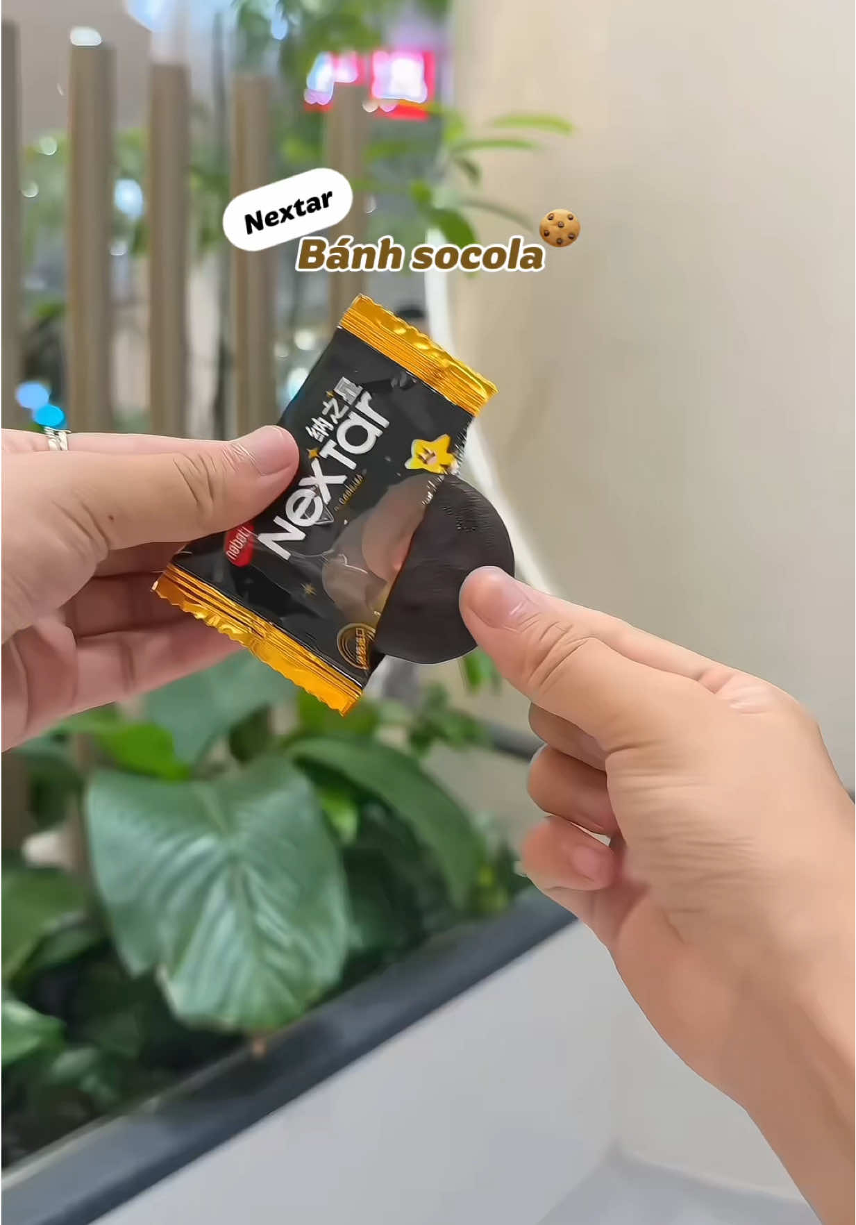 Mãi iu bánh nextar này🤤#cafeitsua #doanvat #banhsocola #banhsocolanextar #nextar 