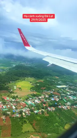 Đà Lạt ngày mưa #xuhuong #dalat #nhacbuontamtrang #lamdong 