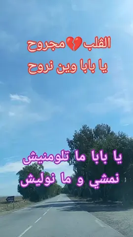 الشاب سعيدو الڨلب مجروح