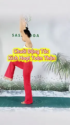 chuỗi yoga toàn thân #sasayoga #yogachonguoimoibatdau #yoga 
