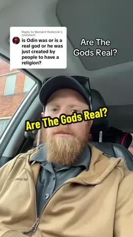 Are the gods real? Are they metaphysical forces?  Are they man made? What do you think the gods are? This applies to any and all spiritual paths and religions. #spiritual #path #norsepagan #norsepaganism #mynorsepaganjourney 