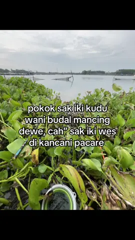 #fyp #storymancing #tegek #tirtagangga #mancing 