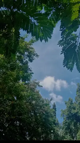 #CapCut #makeitviral #lyrics_songs #lyrics #trending 