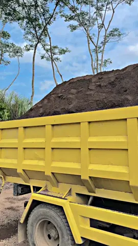 Setir ku tak seberat beban hidup ku #truck #trukmaniaindonesia #umplung_mania #wanitakuat #fypシ゚ 