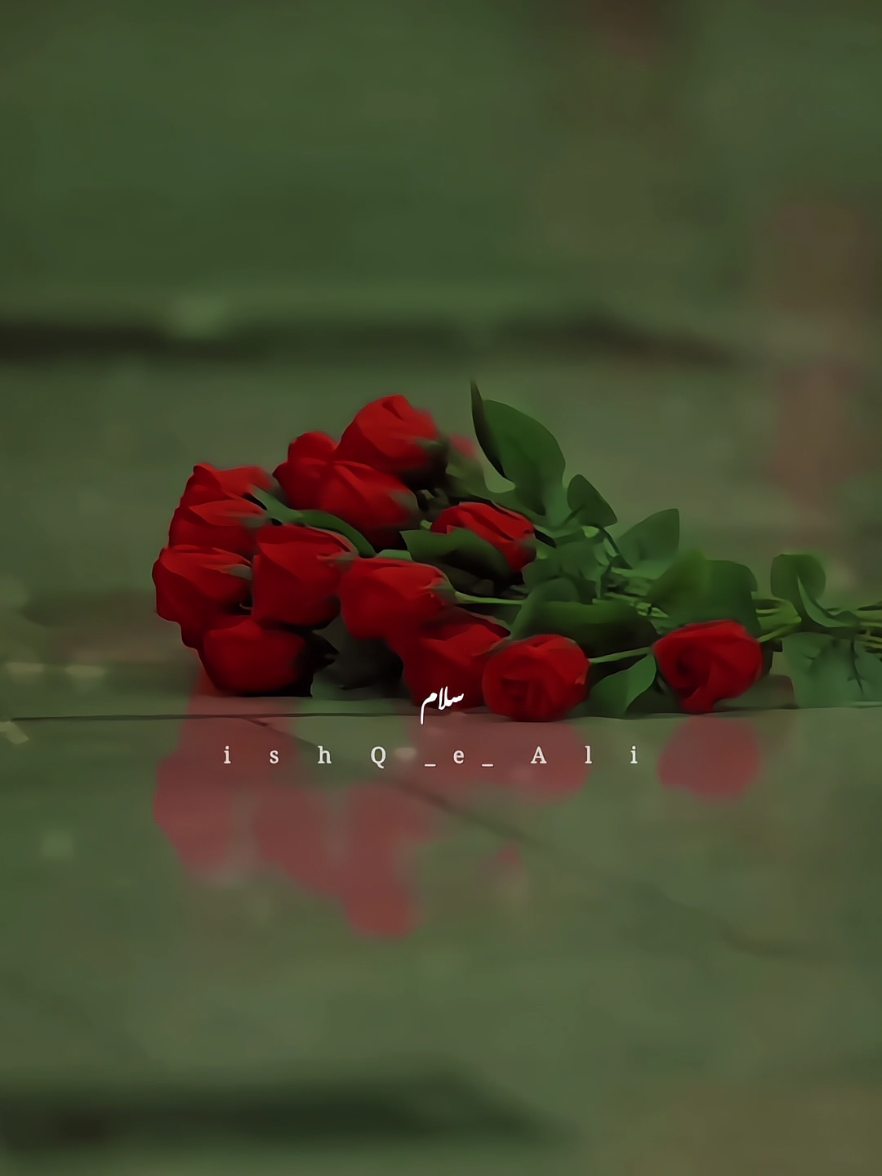 𝙅𝙤𝙞𝙣 𝙡𝙞𝙣𝙠 𝙞𝙣 𝙗𝙞𝙤_👉🏻❤️ #foryou #foryoupage #fyp #viral #💫glintofthoughts💫 