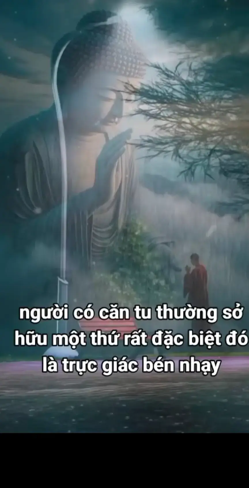 Nam mô a Di Đà Phật 🙏🙏🙏