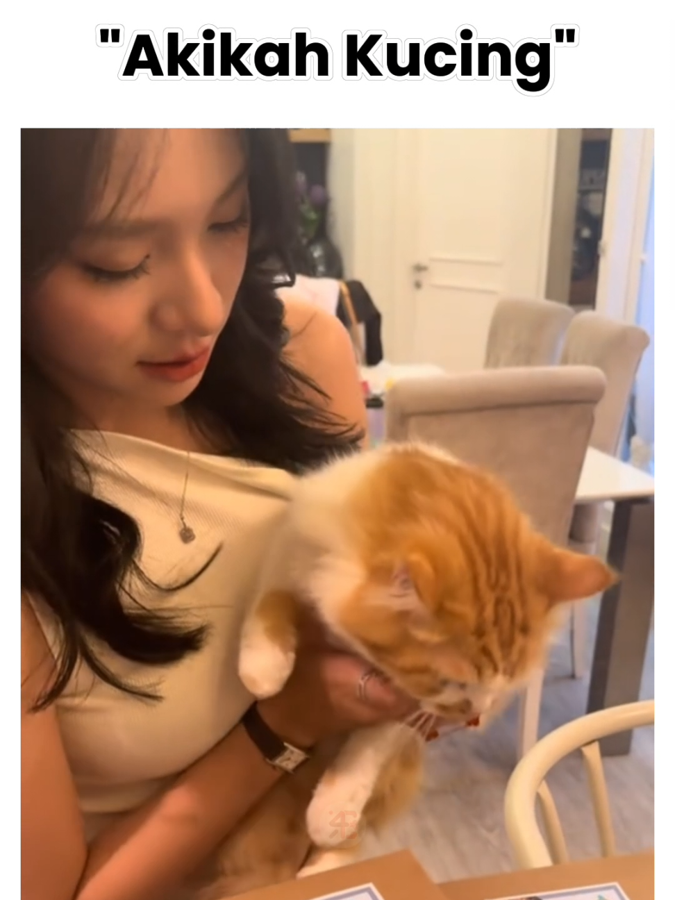 Ada-ada aja kelakuan zee akikahin kucing 😂 #aziziasadel #zeeasadel #zeejkt48 #jkt48 #fy 
