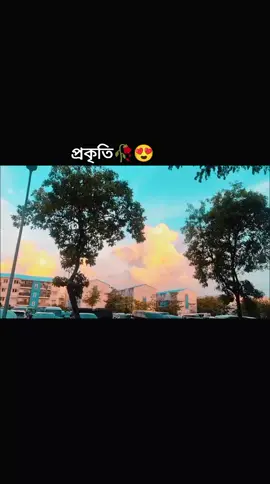 #প্রকৃতি🥰সৌন্দর্য #🌸🌸🌸 