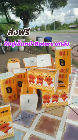 กระดาษเช็ดหน้าBotare ยกลัง#ทิชชู่#ทิชชู่ยกลัง #ทิชชู่เช็ดหน้า  
