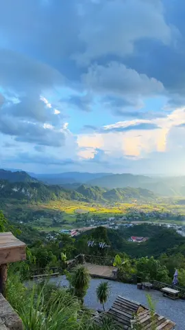 Mùa đẹp đến rồi đó anh em à #mocchau #xuhuong #munauoi #combomunau #sanmay 