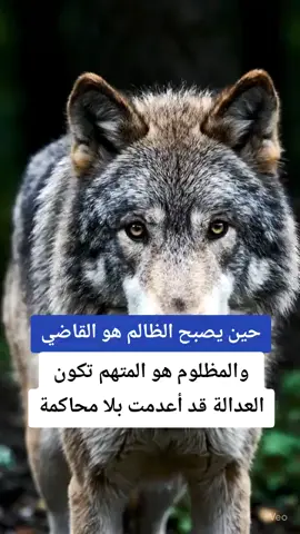 حين يصبح الظالم هو القاضي والمظلوم هو المتهم