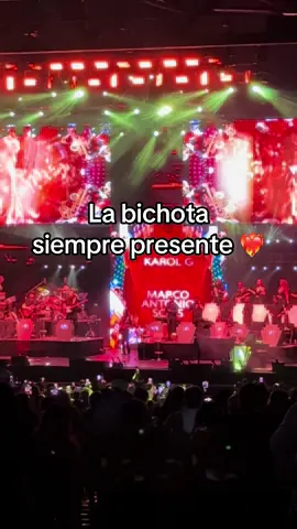 #conciertomarcoantoniosolis en Raleigh ❤️‍🔥