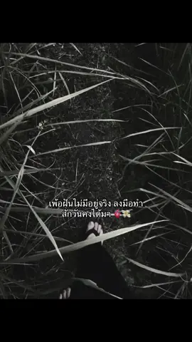 #รีโพสต์ทีค้าบบ❤️‍🔥 #ฟิดดดシ 