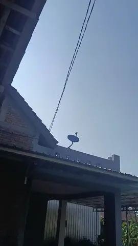 #miniatursoun #soundsystem #fypviralシ #4u 