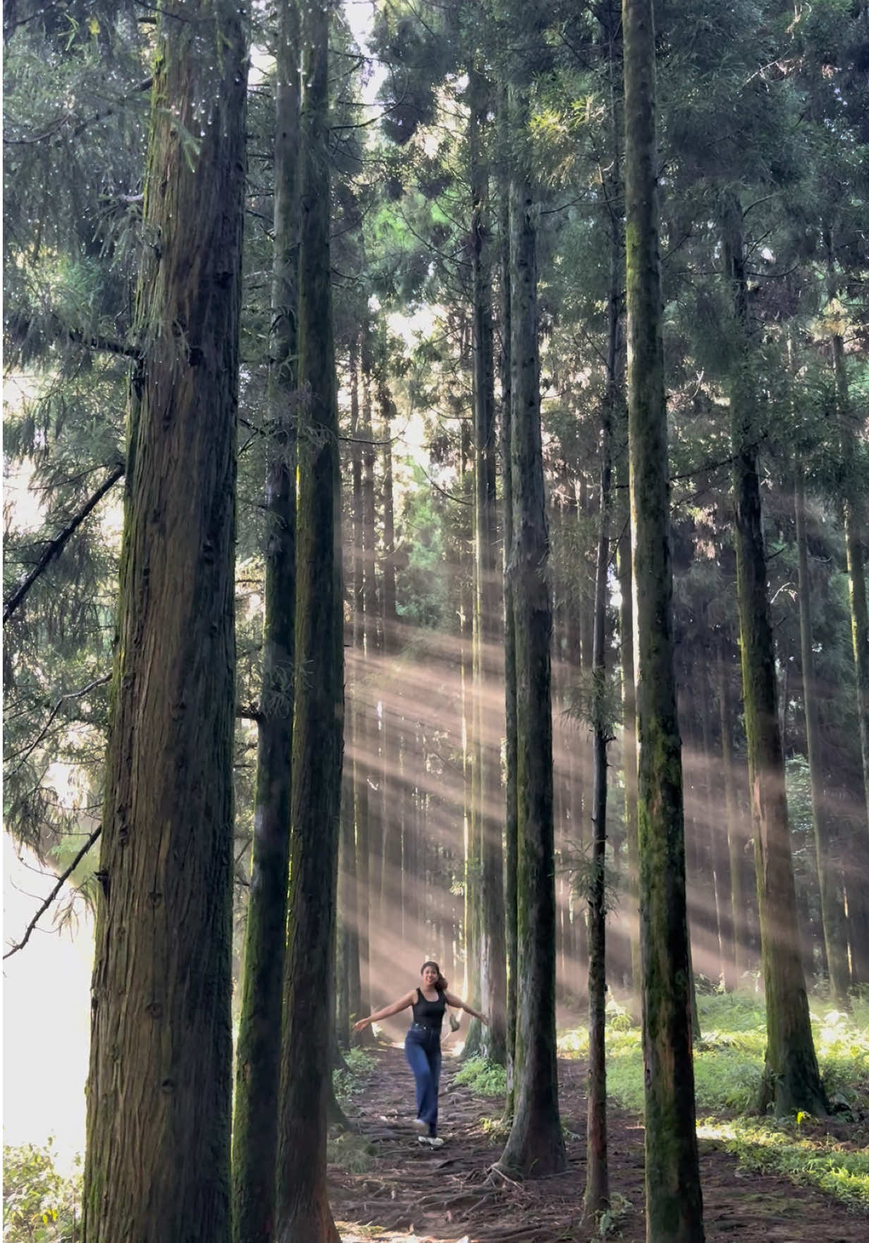 🌲 📍 Shree Antu, Ilam, Nepal, the first place in Nepal where the sunrise touches the hills 🌄. Surrounded by rolling tea gardens, peaceful homestays, and breathtaking views of Kanchenjunga and Darjeeling hills, Shree Antu is a true hidden gem for travelers. From misty mornings and orange-pink skies to green valleys and calm local life, this spot offers everything for those seeking authentic travel, nature escape, and peaceful vibes. Perfect for trekking, camping, photography, or just watching the sunrise with a warm cup of Ilam tea 🍵✨. 		•	Shree Antu pine tree jungle 	•	Pine forest Ilam Nepal 	•	Best places to visit in Shree Antu 	•	Nature walk Ilam 	•	Shree Antu tourism 	•	Shree Antu sunrise point 🌄 	•	Shree Antu tea garden 🍃 	•	Shree Antu homestay 🏡 	•	Ilam tea tourism 	•	Beautiful places in Ilam Nepal 	•	Hiking in Ilam 	•	Hill station in Nepal 	•	Offbeat destinations Nepal 	•	Best nature views in Nepal 	•	Shree Antu viewpoint 	•	Hidden gems in Ilam 	•	Eco tourism in Nepal 	•	Mountain sunrise Nepal 	•	Travel to Shree Antu Ilam 	•	Best monsoon destinations Nepal 🌧️ 	•	Nature walk Ilam 	•	Shree Antu tourism #ShreeAntu #IlamNepal #PineForestVibes #NatureNepal #TravelNepal tiktok tiktokreels tiktokviral tiktoktrend fyp fypシ viral tiktokvideo tiktokreelit tiktoktrending explorepage trendingvideo viraltrend tiktokcontent contentcreator digitalcreator influencer influencerlife nature luxury, wanderlust vibes, hidden paradise, cultural heritage, mountain views, ocean escape, eco travel, offbeat destination, scenic getaway, travel Nepal, Darjeeling tea garden, explore Australia, slow travel.