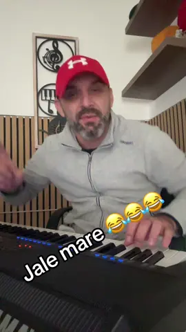 #hohmaadevarata#veselielagarmoșca#momentevesele😁🎹#sameargatatcainunt#wensky🎼🎼🎼😂