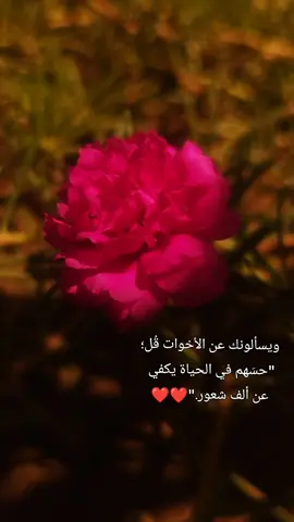 ❤️❤️ويسألونك عن #الأخوات قُل؛ 