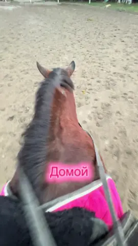 Даже монтировала верхом #horse #horseriding #equestrian #рекомендации #fyp 