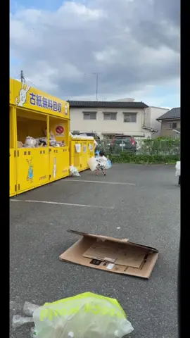 投げて入らず頭に落ちてきてカキカキ🤣🤣#おもしろい #赤ちゃんおもしろ動画 #２歳 