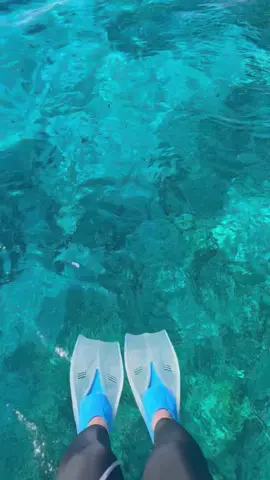 Diving feels like stepping into another world calm, endless, and full of wonder 🌊🐟🩵✨ #sharmelsheikh #diving 