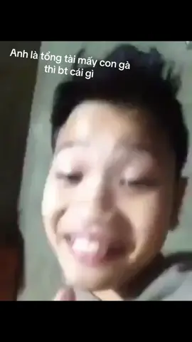 Mấy con gà thì bt cái j