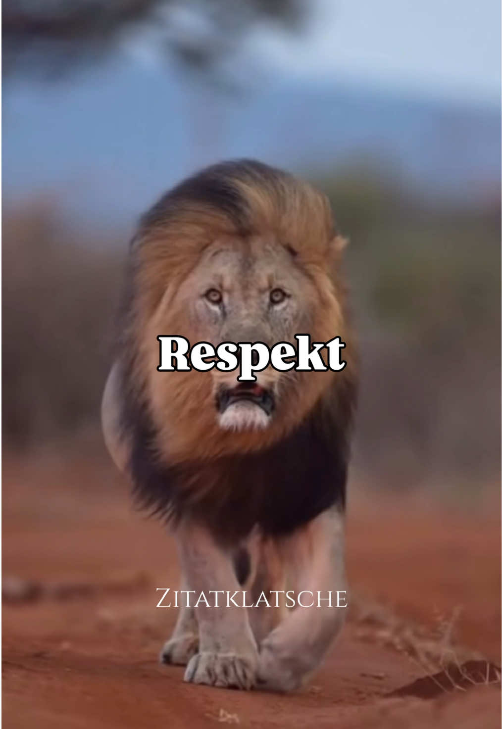 #respekt #mindsetmotivation #fyppp #füralle #fürdeineseite 
