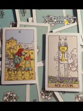các tình yêu ai muốn trải bài riêng thì ib cho shop lẹ nhó. Shop có cả manifest cho các tình yêu luôn nè🤭#tarot #manifest #tìnhyeudep #xuhuongtiktok 