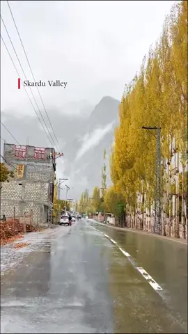 Starting of Autumn in Skardu Valley Gilgit baltistan 🍂😍 #skardu #gilgitbaltistan #tourism #mountains #autumn 
