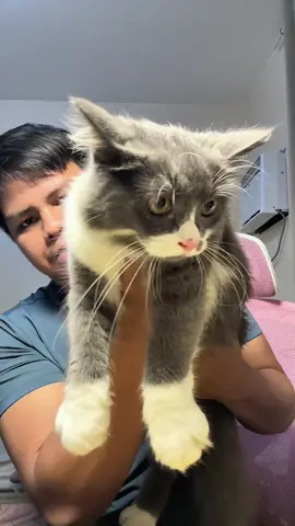 Ito maka help din e remove mga pisting pulgas, garapata at kuto sa cats and dogs niyo. #flearemover #pawnomsflearemoverforpet #antitickandflea #pulgas #kuto 