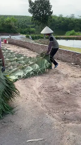 We are not selling products to you, but take natural beautiful things and happy life to you! Enjoy the nature together! #3hlink #Lavender #palmleaves #driedflowers #3hlinkflower #preservedflower #bohodecor #pampasgrass #hydrangea #homedecor #weddingdecoration #babybreath #handmadecrafts #hoteldecor #luxurydecor #flowerbouquet #flowerboxes #flowerbouquets #hydrangeas #christmasdecor #christmasflowers #preservedtree #witchbroom #christmas #driedflowerwholesale #cassiacinnamon #amarantus #willowbranch #minihaybales #decorhaybales 