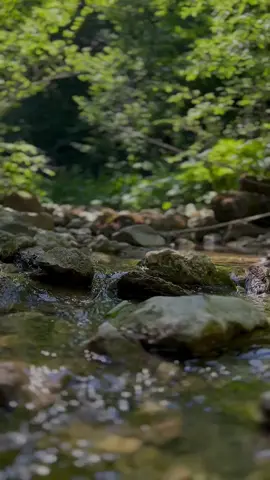 ‏﴿يُدَبِّرُ الْأَمْرَ﴾ ‏