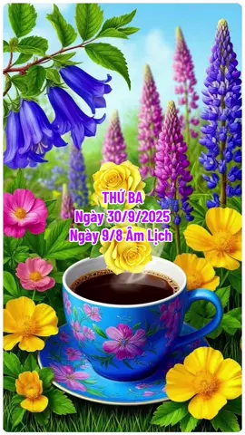 Chào Ngày Mới #ngaymoivuive❤️ 