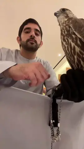 #eagle #fazza #Love #beautiful #foryou 