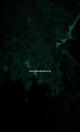 Vybe (feat. dip doundou guiss) Shecky #musique #lirycs #dipdoundouguiss 