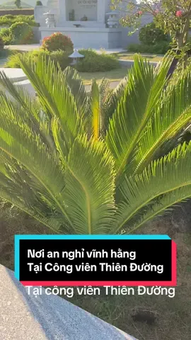 #đấtmộ #đấttâmlinh #côngviennghiatrangthienđườngtuyênquang 