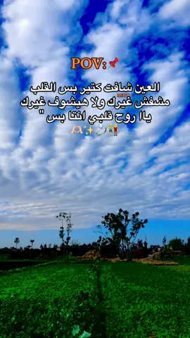 ##المشاهير____التيك___توك #المشاهير____التيك___توك #fypツシツ♡ ##fypツシツ 