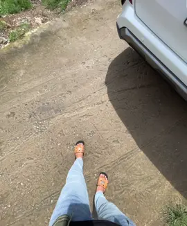 Chở full tải là phuộc hết nhúng luôn 😆😆#xedichvu #taixe #xhtiktok #nhachaymoingay #xekhachvietnam 