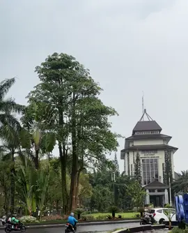 UB after rain #malang #ub #rain #fyp 