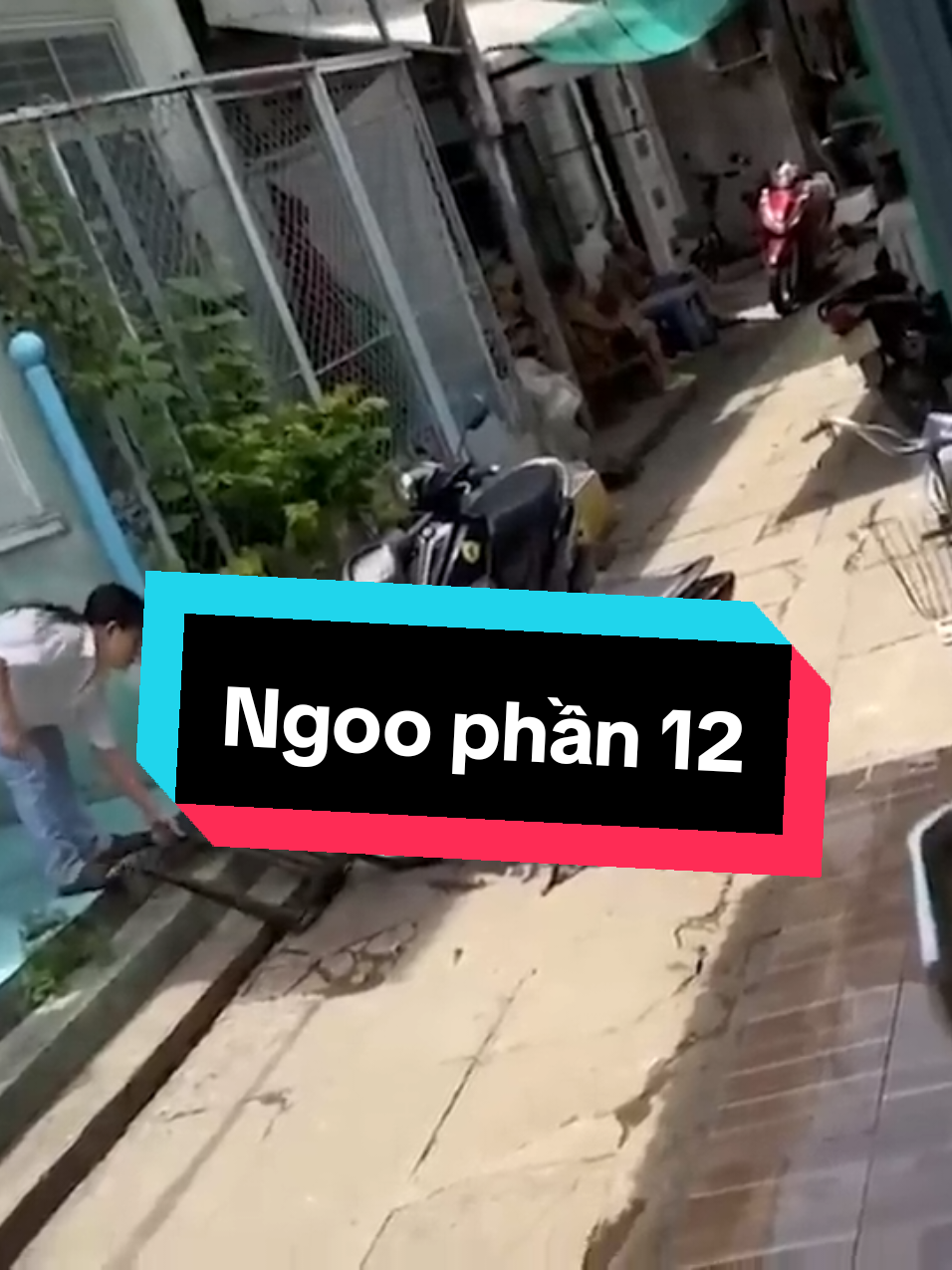 Ngoo phần 12 Hãy xem và cười mỗi ngày nha ae ❤️ #xuhuong #viral #haihuoc #hài #hóng 