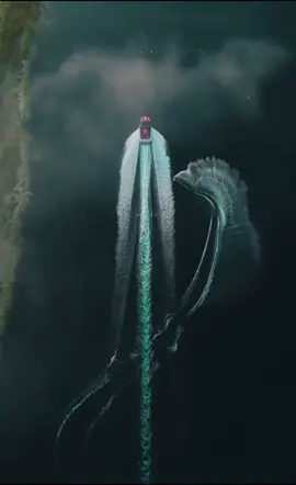 #viralditiktok#pov#Summer#