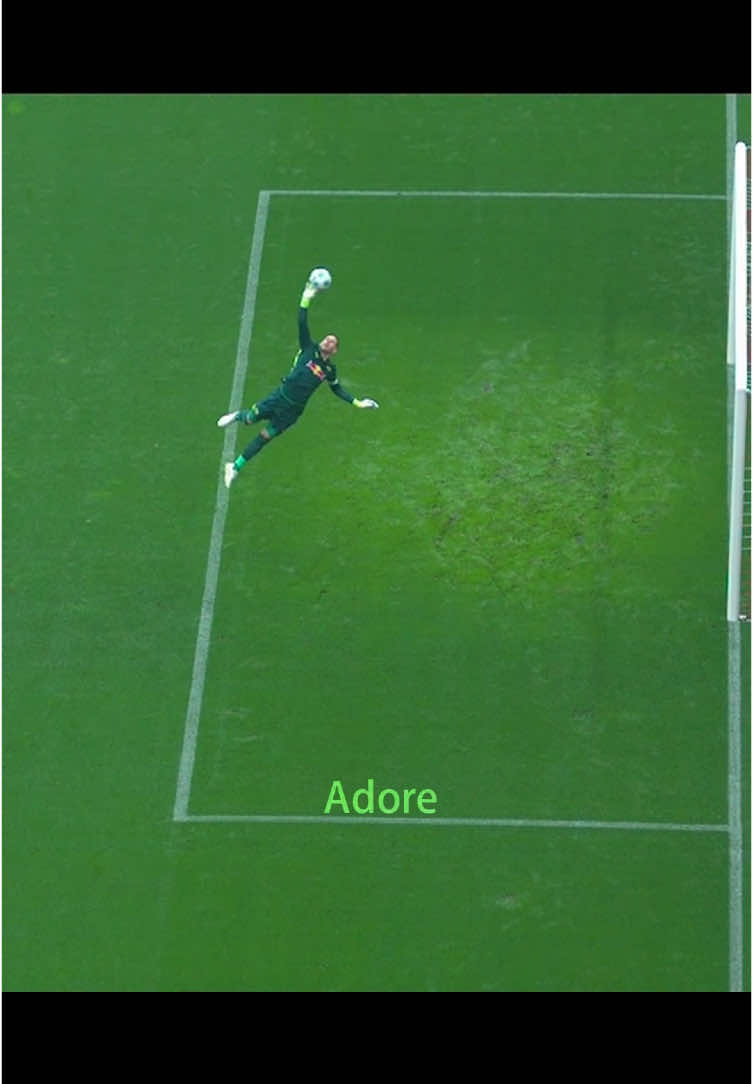 The Never-Give-Up Goalkeeper ☠️#football #goalkeeper 
