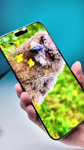 #minhnirio #kinhcuongluciphone #kinhkhongvien #toras #xuhuong 