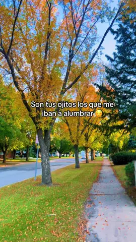 #tiktokviral #como extraño ver tus ojitos 👀 #ya nunca voy a volver aver #fyppppppppppppppppppppppp #🥹 