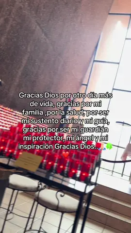 Gracias Dios por Absolutamente Todo🙏🏼❤️  #dios  #agradecido  #teamodios #familia